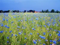ce95d0e74e18.webp