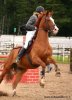 x_474c2a7a[1].jpg