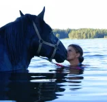 10.webp