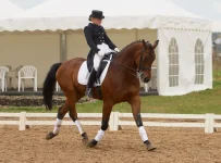 p2484.webp