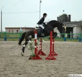 12854-77983[1].webp