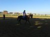 20150822_164717.jpg