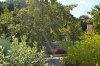 DSC_0041.JPG