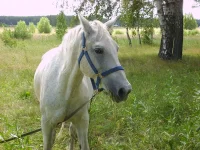 S6003587.webp