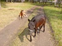 S6003420.webp