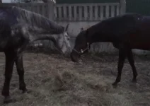 220720101237.webp