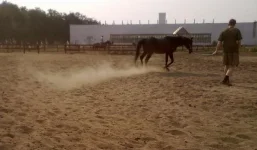 250720101277.webp