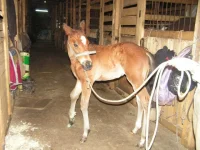PICT1435.webp