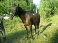 016.webp