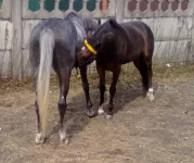 010820101392.webp