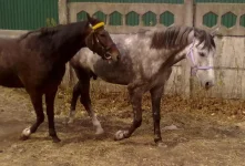 010820101389.webp