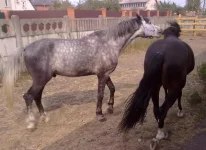 010820101390.webp