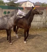 010820101395.webp
