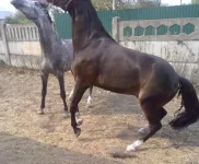 010820101398.webp
