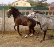 010820101408.webp