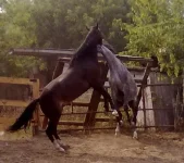 010820101410.webp