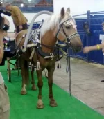180820101657.webp