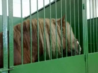 180820101664.webp