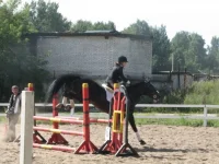 x_31847aff.webp