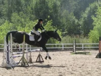x_cfe38023.webp
