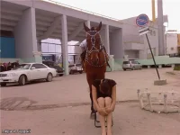 гордый.webp