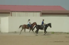 мелесакар и агуша.webp