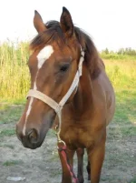 x_cf6b3385.webp