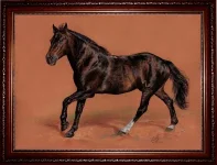 14.webp