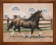 33.webp