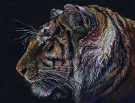 tigrrr.webp