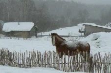 Марго_в_снегу.webp