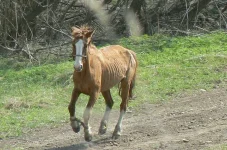 улетаем.webp