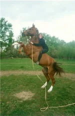 3bd8f14e3bab[1].webp