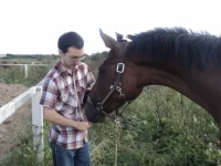 x_332986ed.webp