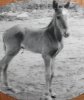 DSCF14576.JPG
