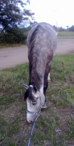 310820102003.webp