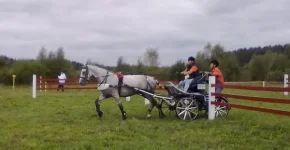 280820101843.webp