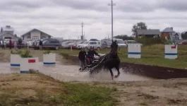 280820101857.webp