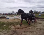 280820101858.webp