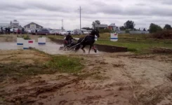 280820101860.webp