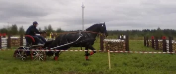280820101864.webp