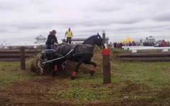 280820101867.webp