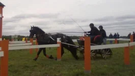 280820101876.webp
