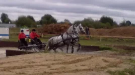 280820101884.webp