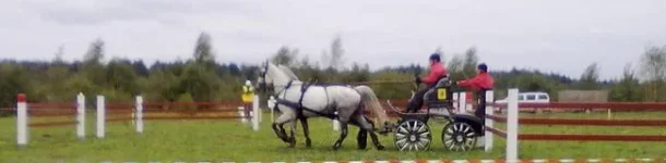 280820101905.webp