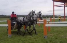 280820101910.webp