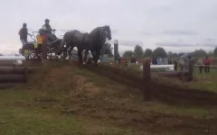 280820101917.webp