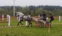 280820101963.webp
