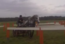 280820101966.webp
