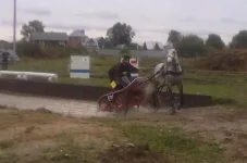 280820101936.webp